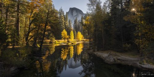 Yosemite Landscape