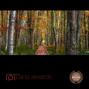 Epson Pano Awards